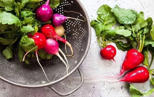 آشنایی با بهترین خواص تربچه قرمز برای بهبود سلامتی